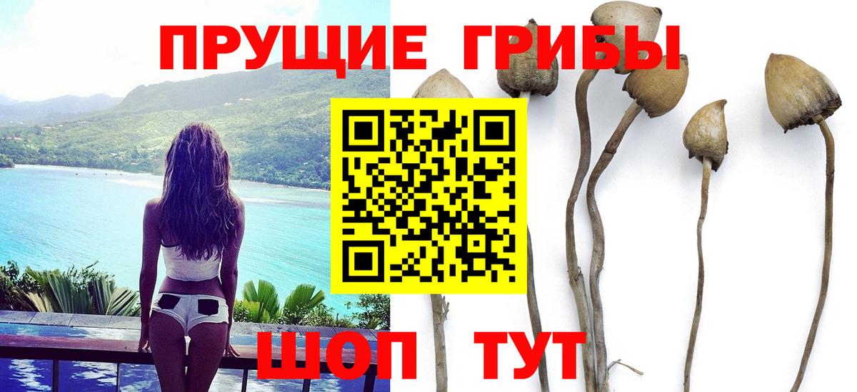 Галлюциногенные грибы мухоморы Алапаевск